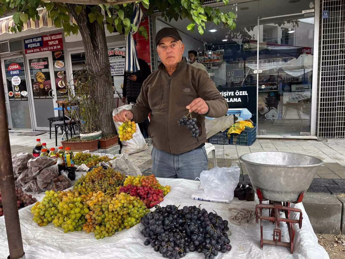 Ünlü Haydar Üzümleri Tezgahlarda Yerini Aldı